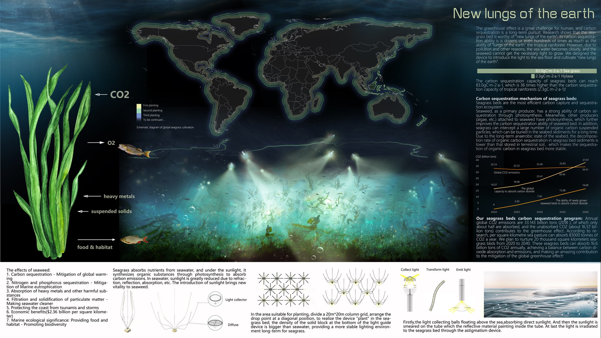 New lungs of the earth