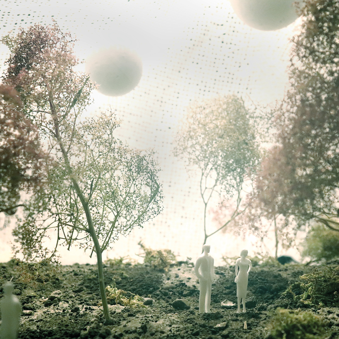 Reviving the Desert - Meet the Winners from Western Europe Daylight Investigations