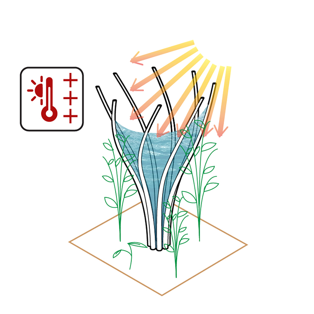 Defying desertification - Meet the Winners from the Americas Daylight Investigations